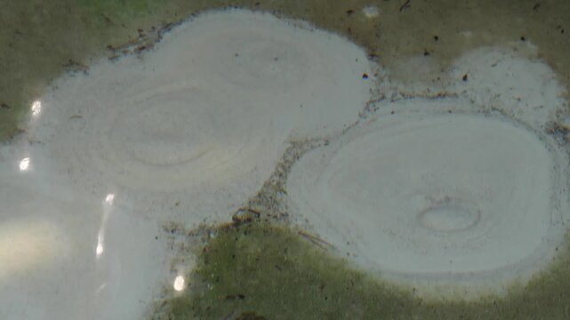 A Natural Spring Bursts Forth From The Earth.