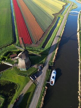 Aerial view of a traditional Dutch windmill situated beside a vibrant tulip field with colorful rows of flowers and a calm canal with a boat in Nederland.