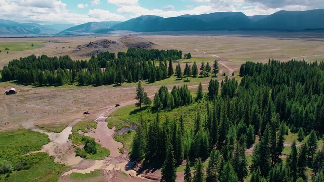 Aerial tracking shot of jeep driving along winding dirt road through pine forest and open plain toward distant Altai mountain range.