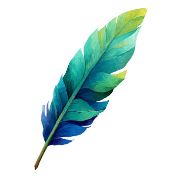 Watercolor clipart of Parrots Feather, isolated on white background