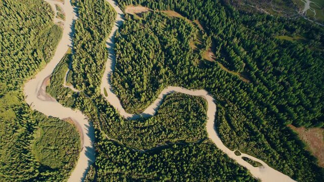 Aerial tracking shot river meandering through forested valley and floodplain with distant Altai mountains.