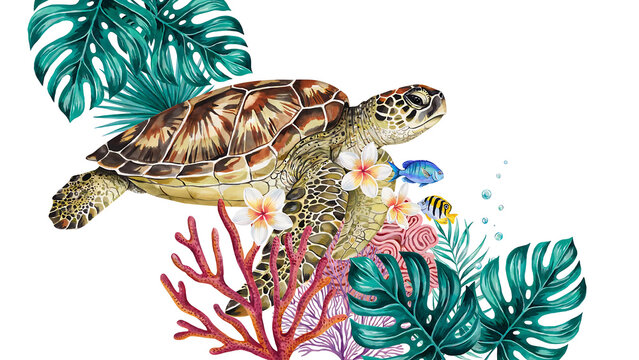 Watercolor sea turtle swimming with tropical leaves and coral isolated on a transparent background
