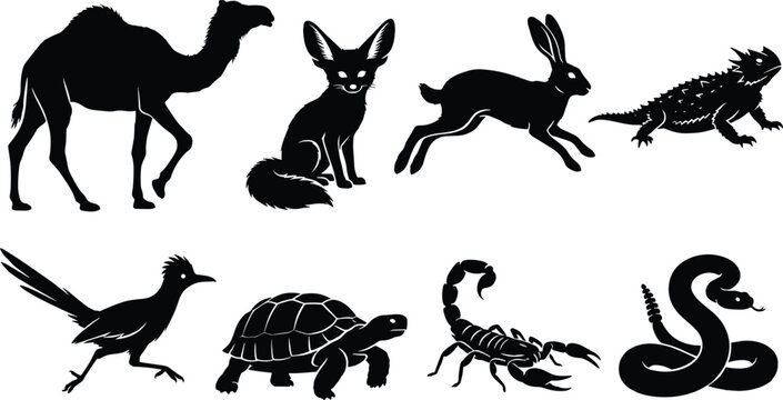 Desert and Wildlife Animal Silhouette Collection Featuring Camel Fox Hare Lizard Turtle Scorpion Snake and Bird Vector Set