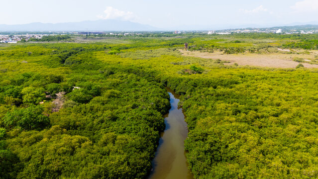 Aerial view of Estero El Salado mangrove protected natural area with lush green vegetation, a winding river, and the urban skyline of Puerto Vallarta, Jalisco, Mexico.