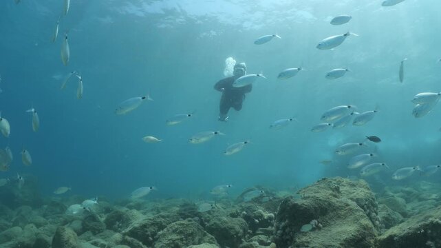 free diver  man underwater  diving some fish around