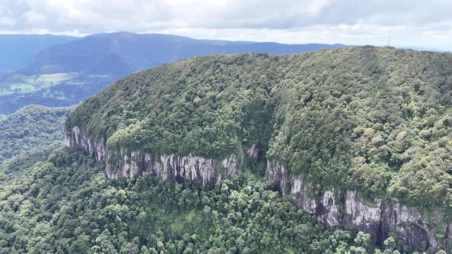 Panoramic View of Gondwana Rainforest and Ancient Caldera Slopes from Best Of All Lookout, Springbrook National Park
