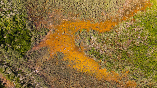 Aerial view of Estero El Salado, a protected mangrove ecosystem with vibrant orange-brown mudflats and dense green vegetation in Puerto Vallarta, Jalisco, Mexico.