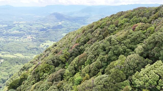 Panoramic View of Gondwana Rainforest and Ancient Caldera Slopes from Best Of All Lookout, Springbrook National Park