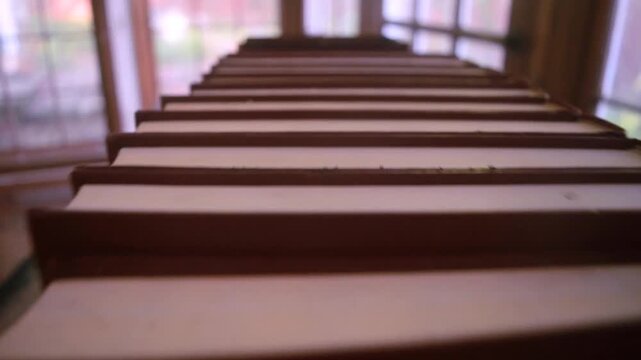 Hovering above a row of red encyclopedias in a dimly lit sunroom next to a backyard garden outside the windows. Noon sunlight makes for good reading