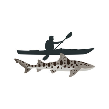 Kayaker Paddling Above a Spotted Leopard Shark in the Ocean Waters Graphic Design