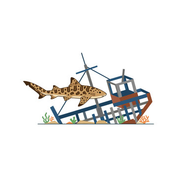 Leopard Shark Swimming Past An Underwater Shipwrecked Boat Illustration