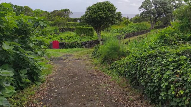 Azores, Faial Island, Portugal. Scenic views of the island's traditional landscape with lush green hills, volcanic terrain, and the natural beauty of the Azorean countryside.