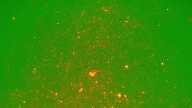 Glowing hot fire embers and sparks rising on green screen heat burning particles