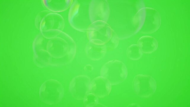 Floating transparent soap bubbles isolated on green screen circles spheres