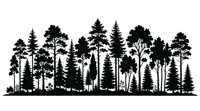 Cad tree line Black forest, tree silhouettes, pine trees, landscape vector isolated on White Background vector