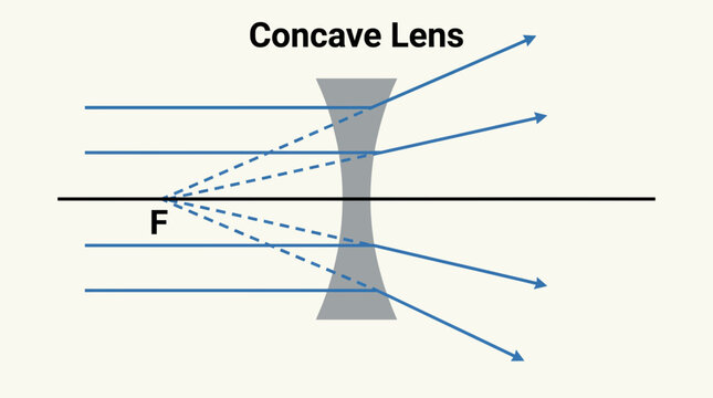 Concave Lens Diagram Vector Illustration Vector