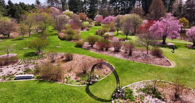 Flying Through the Arnold Arboretum During Peak Spring in Boston Massachusetts