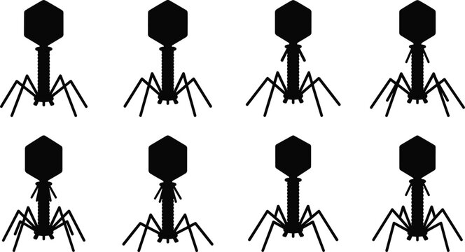 Black silhouette icons of bacteriophages with hexagonal heads, tails, and appendages representing viruses that infect bacteria