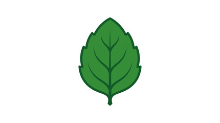 Green Mint Leaf Icon Isolated on White Background © Arif