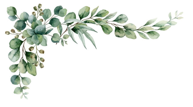 Elegant watercolor vector botanical corner border frame featuring lush green eucalyptus leaves, silver dollar foliage, and delicate branches on a white background for wedding invitation design.