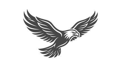 Fototapeta premium Eagle Bird Flying Wings Spread Wide.