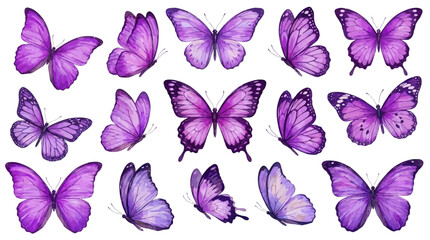 Vibrant watercolor collection of purple butterfly illustration hand-painted with artistic violet paint splatter on a white background, elegant insect vector set for creative design project. © eun