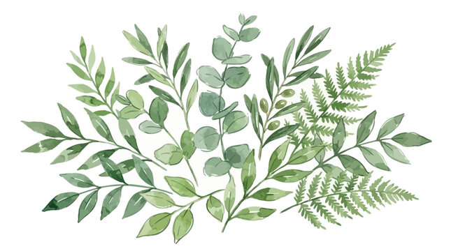 Elegant Watercolor Vector Botanical Arrangement Featuring Lush Green Foliage Branches and Organic Leaf Elements Isolated on a Pristine White Background for Decorative Nature Design