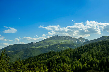 Fototapeta premium Majestic snow capped mountain peak and evergreen forest landscape. A breathtaking panoramic landscape under a clear blue sky. This serene alpine landscape evokes peace and natural beauty.