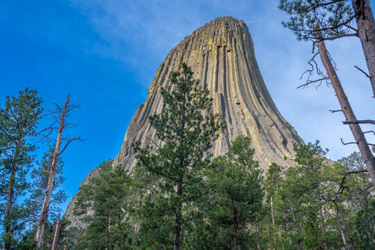 Devils Tower  National Monument in Wyoming, USA, America. Stunning views of this incredible carving in western Wyoming.