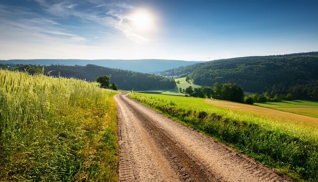 Feldweg Mit Hugellandschaft Im Gegenlicht Im Sommer Bei St Wendel Im Saarland
