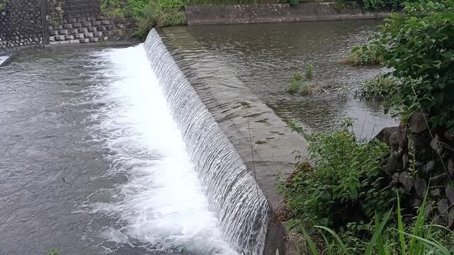 川　滝　川辺　水辺　自然　風景
Medaka, fish, swimming, aquarium