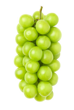 Green grape isolated on white. Shine muscat grape.