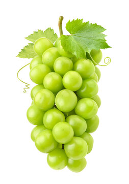 Green grape isolated on white. Shine muscat grape.