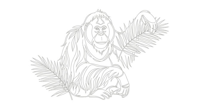 Orangutan line art illustration, primate surrounded by tropical leaves, simple sketch style