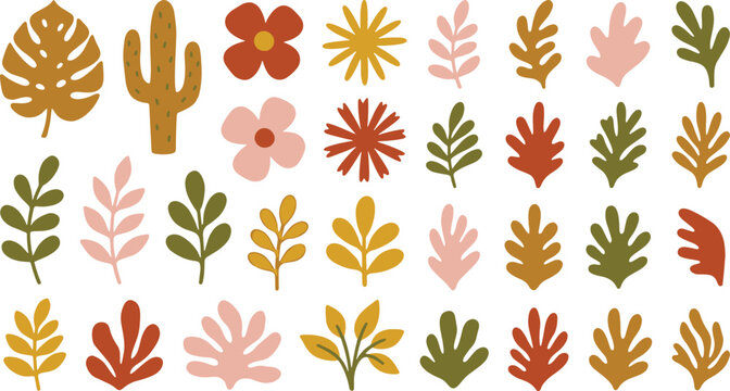Collection of autumn leaves cactus and flowers in hand drawn style with botanical seasonal illustration colorful collection elements stylized ornamental decorative background isolated