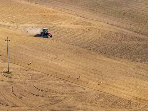 Aerial view of a red tractor plowing a dry field with storks following in the furrows near a utility pole in Janusiske, Vilniaus apskritis, Lithuania.