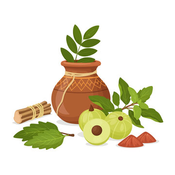 Rishi Panchami ritual with Amla fruits and Tulsi plant