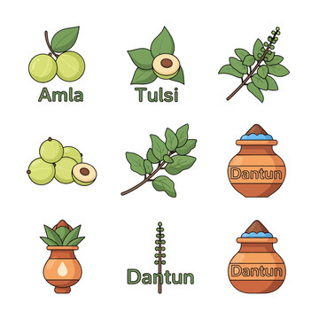 Rishi Panchami Celebrations with Amla Tulsi Dantun Herbs