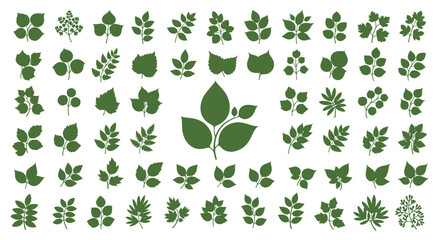 Fototapeta premium Extensive collection of various green leaf silhouettes and shapes representing different plant species for botanical designs.