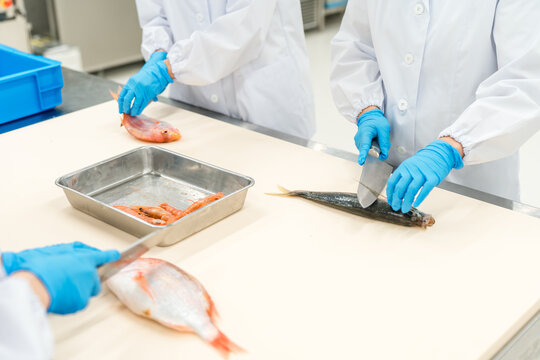 水産加工・鮮魚を捌く作業者・調理スタッフの手元（食品加工・セントラルキッチン・専門学校）