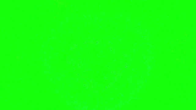 Green background serves as a vibrant chroma key surface for advanced video production and editing.