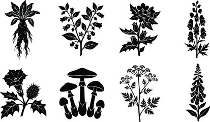 Black silhouette collection of poisonous plants toxic herbs mandrake root and dangerous wild mushrooms isolated on white © MstRehna
