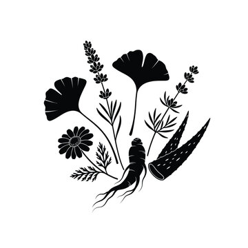 Black and white ginkgo leaves.