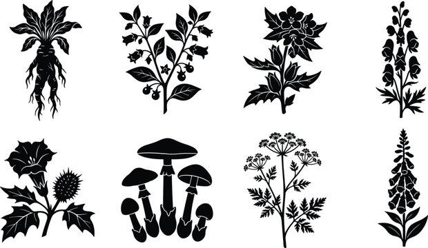 Black silhouette collection of poisonous plants toxic herbs mandrake root and dangerous wild mushrooms isolated on white