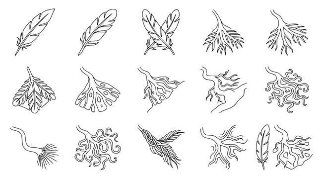 Feather and root illustrations: hand-drawn line art set