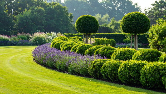 Beautifully manicured garden with curved lawn and lavender border.