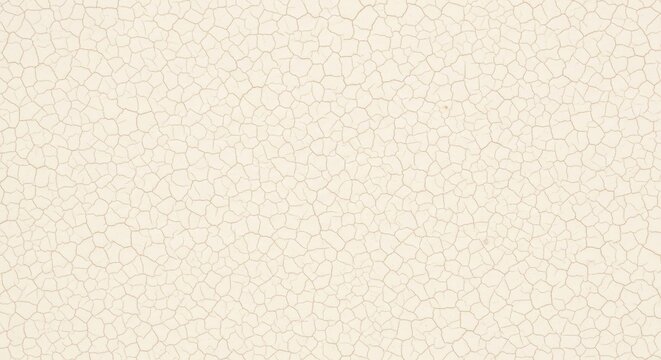 Close up of a dried white clay slip surface with fine hairline cracks creating a delicate ivory mosaic texture