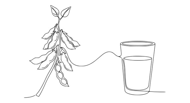 Soybean plant with pods connected to a glass of soy milk, continuous line art