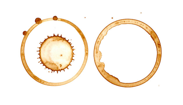 Coffee Stain Rings and Splatter Patterns Scientific Visualization