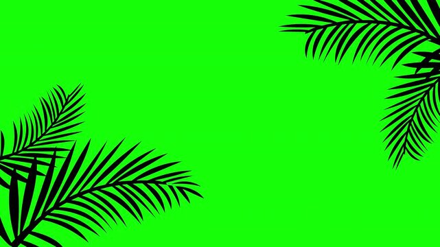 Tropical palm leaf corner frame isolated on green screen background for chroma key editing